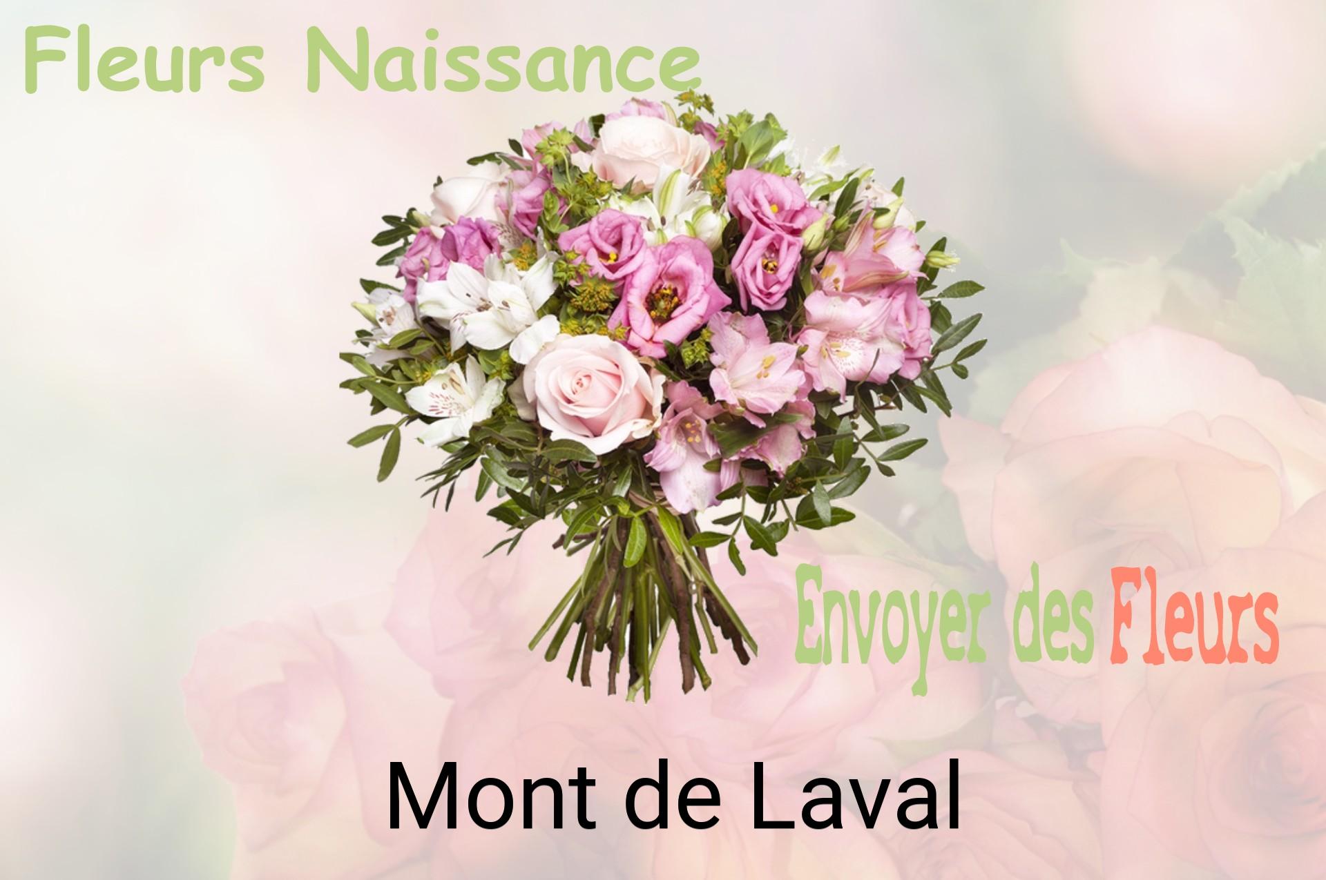 Bouquet de fleurs de naissance livré à Mont-de-Laval